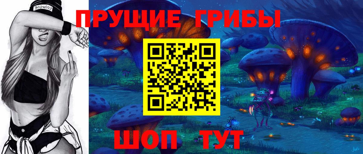 Котельники  Псилоцибиновые грибы Psilocybe  Псилоцибиновые грибы прущие грибы  Вход с VPN 