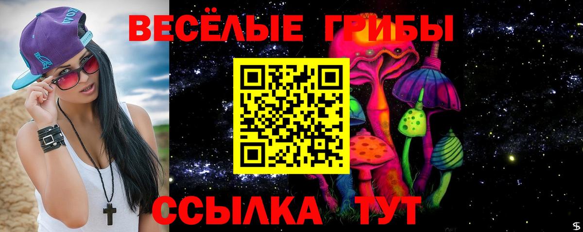 Галлюциногенные грибы прущие грибы Котельники